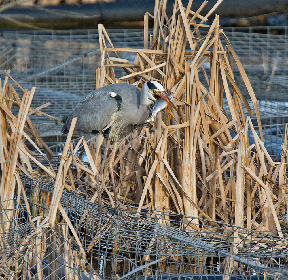 DSC_3711.jpg