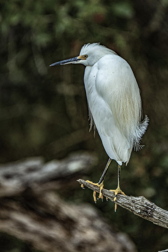 DSC_3713.jpg