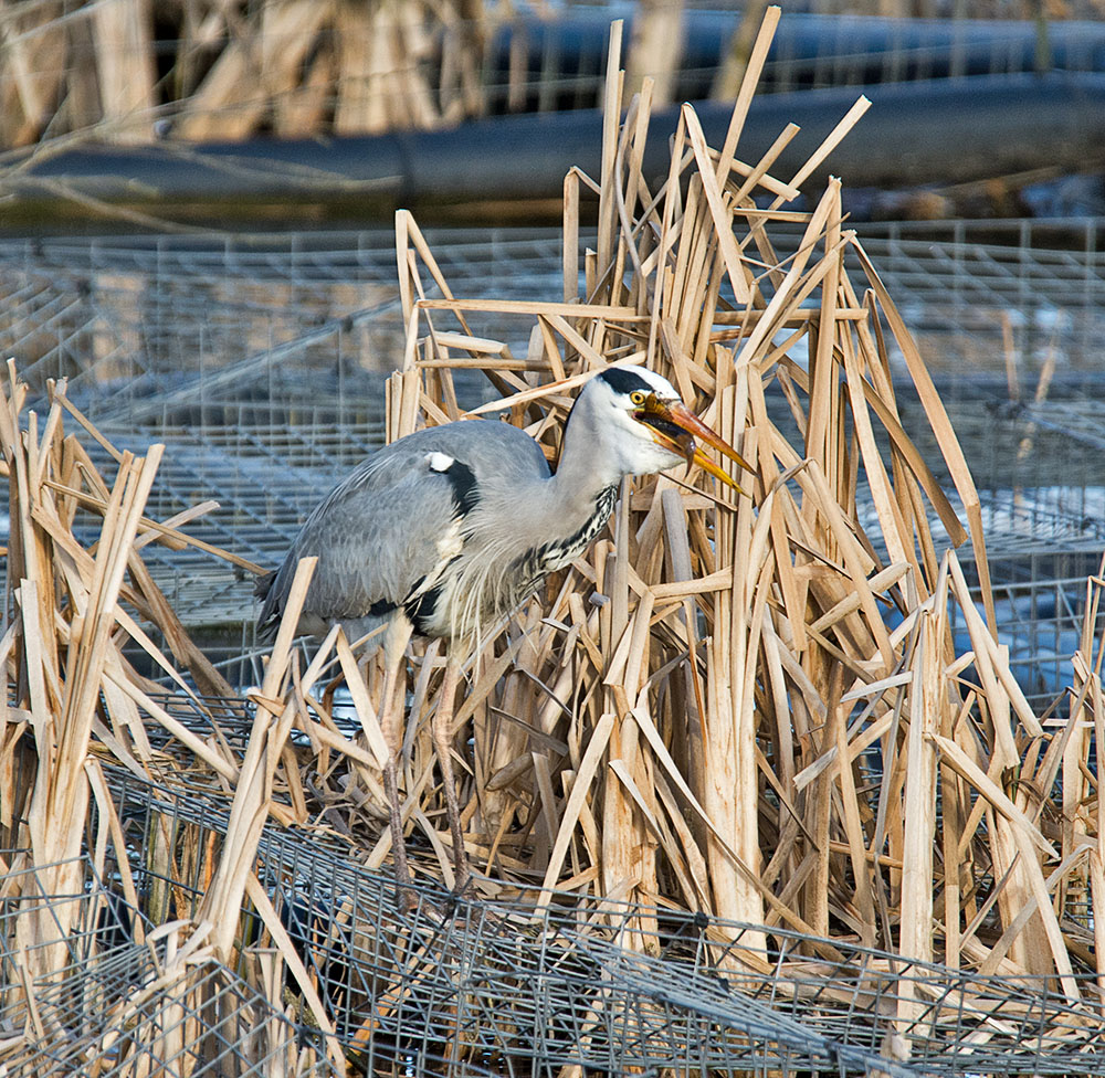 DSC_3714.jpg