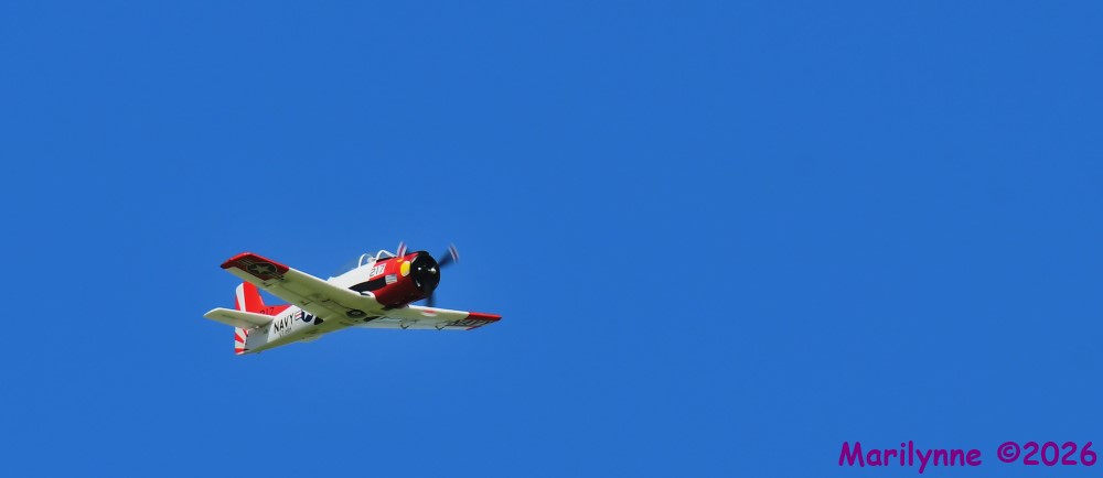 DSC_3714_001.JPG
