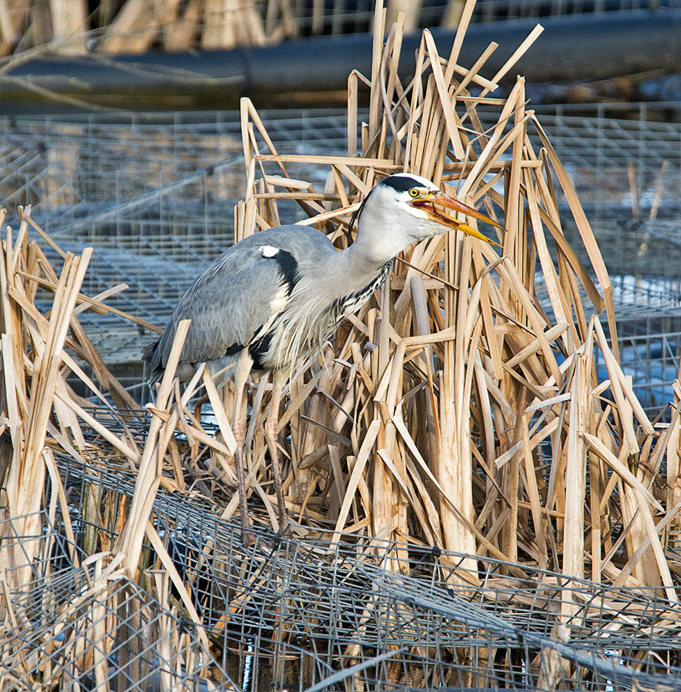 DSC_3715.jpg
