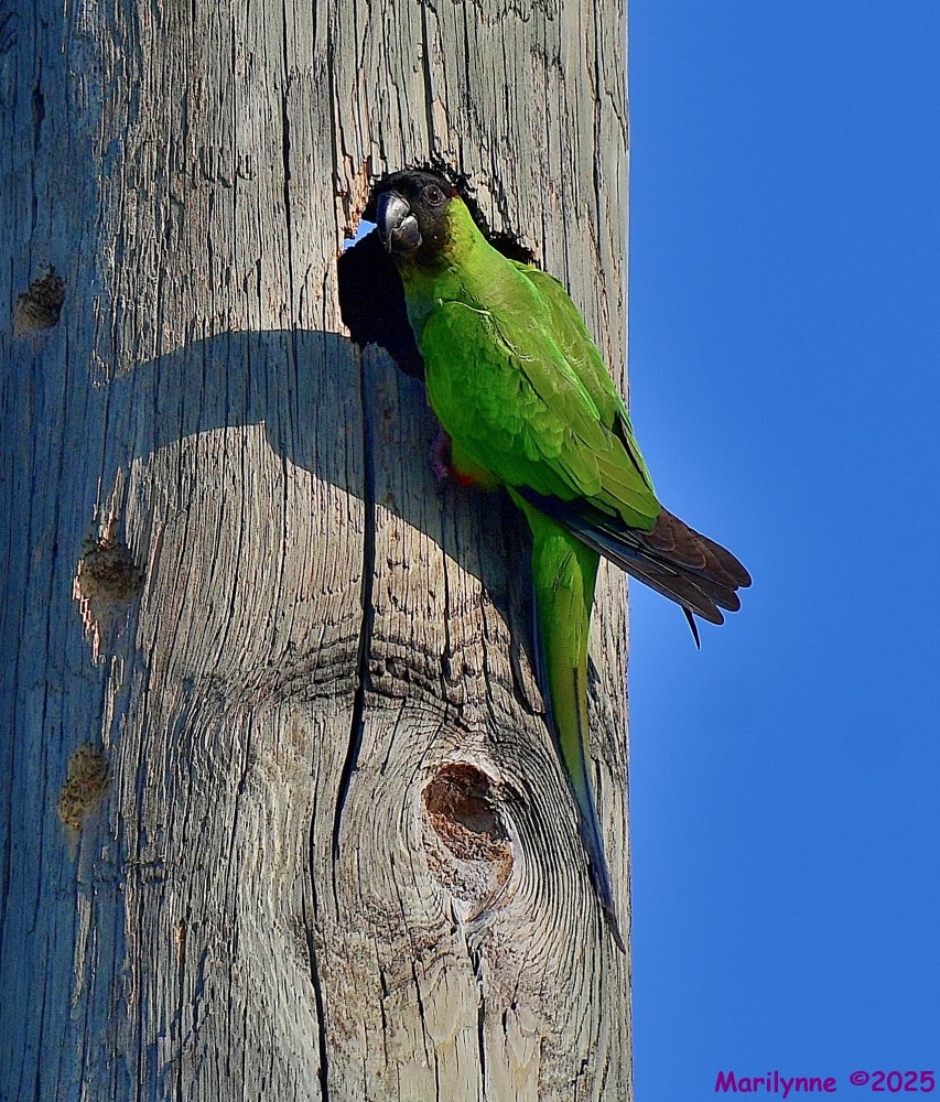 DSC_3719_001.JPG