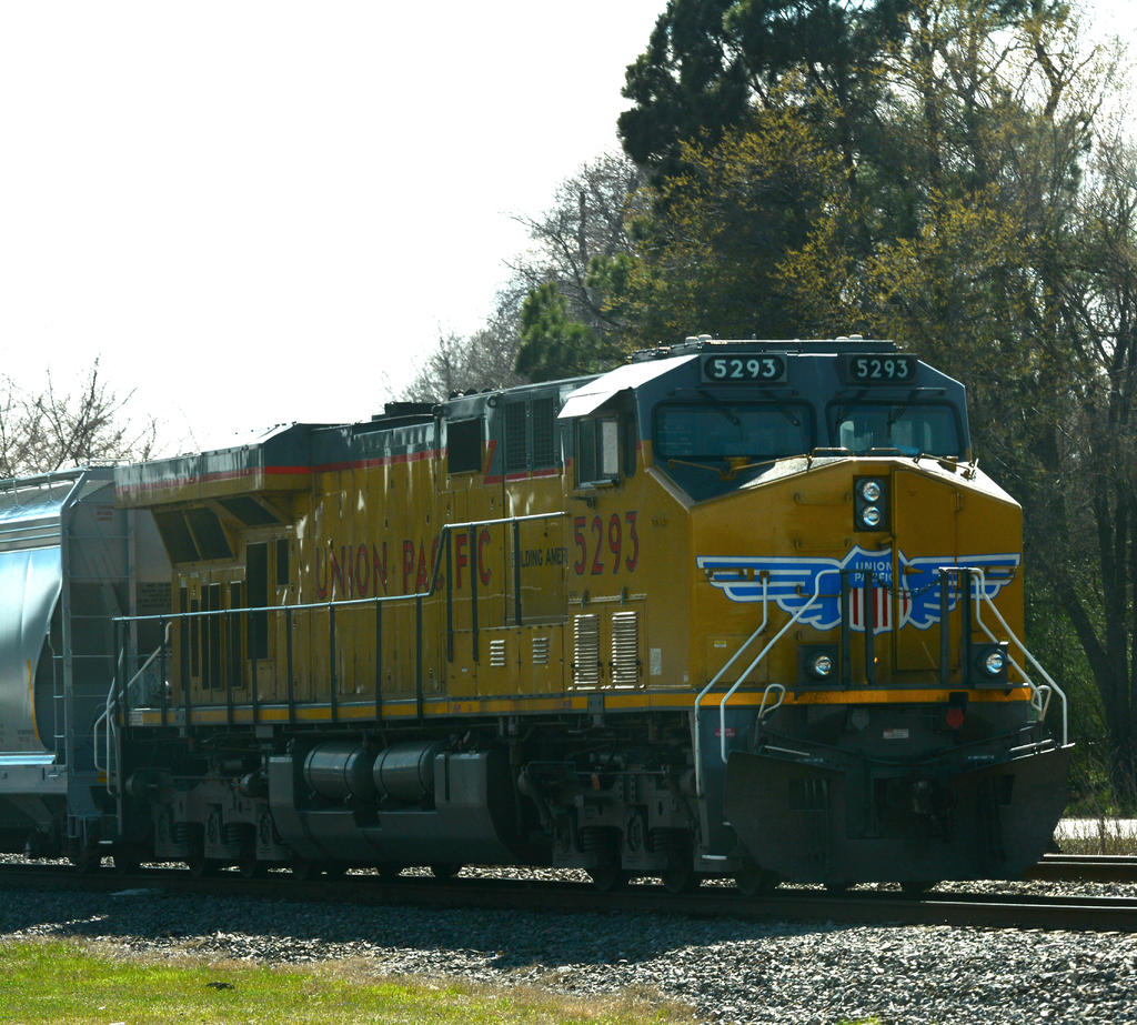 DSC_3726.jpg