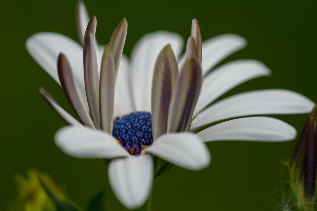 DSC_3726.jpg