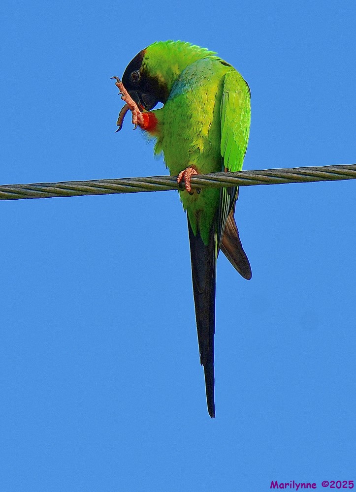 DSC_3728_001.JPG