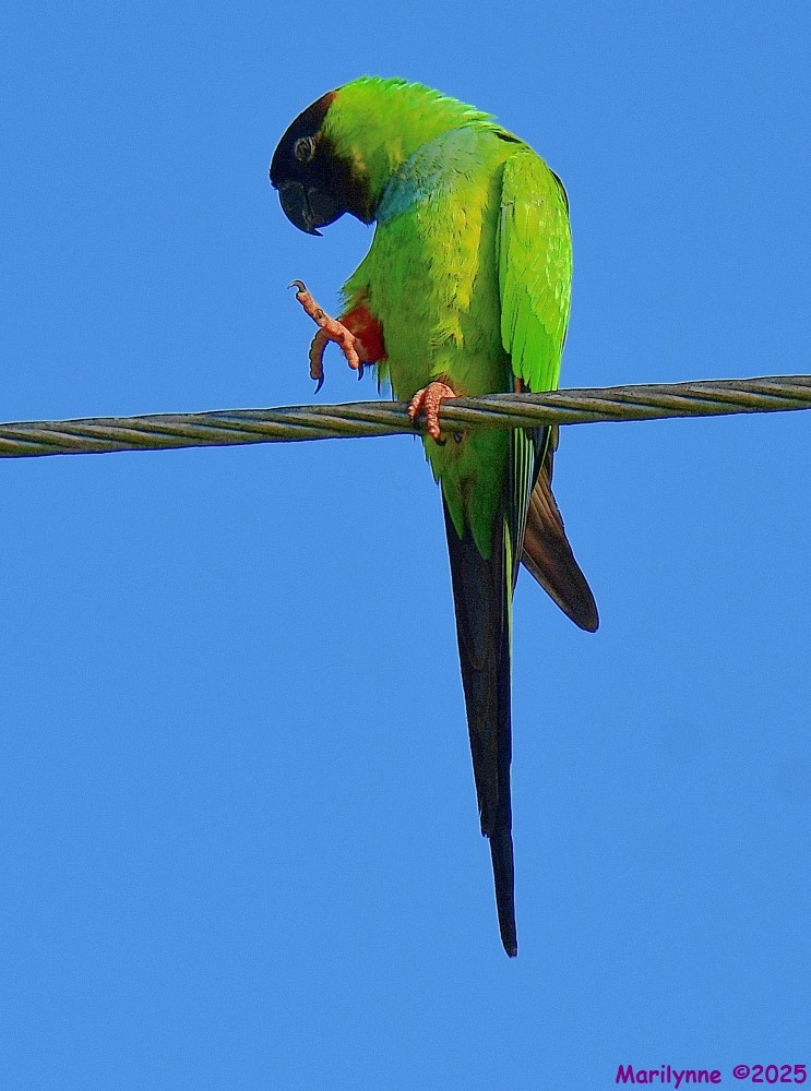 DSC_3729_001.JPG
