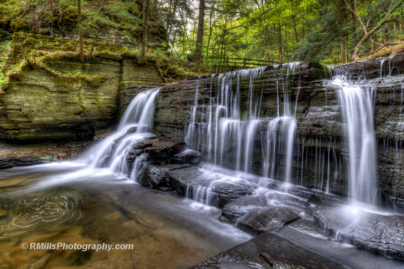 DSC_3730_6580_1_6581_2_6582_tonemapped.jpg