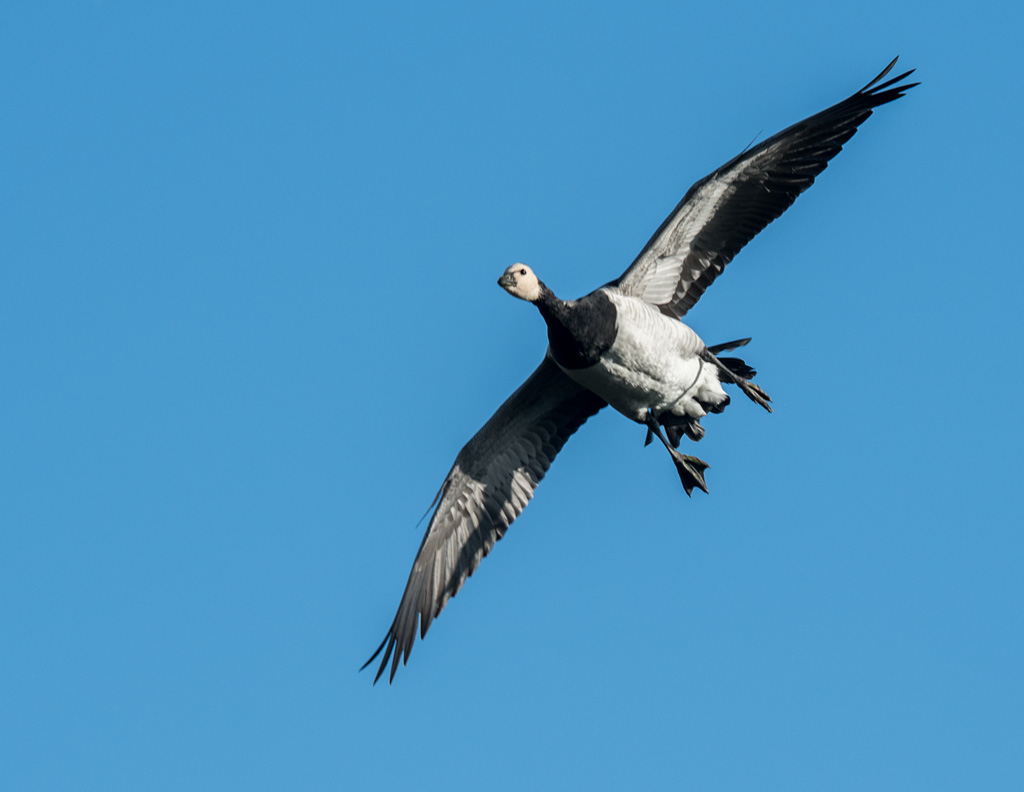 DSC_3741.jpg