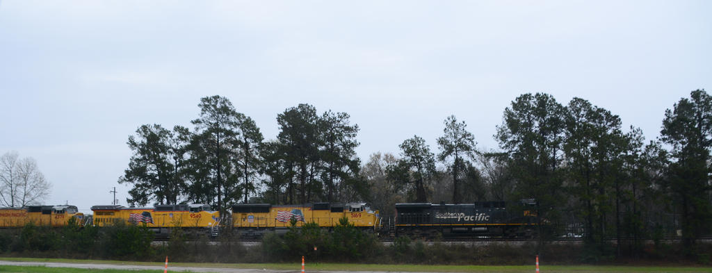 DSC_3746.jpg