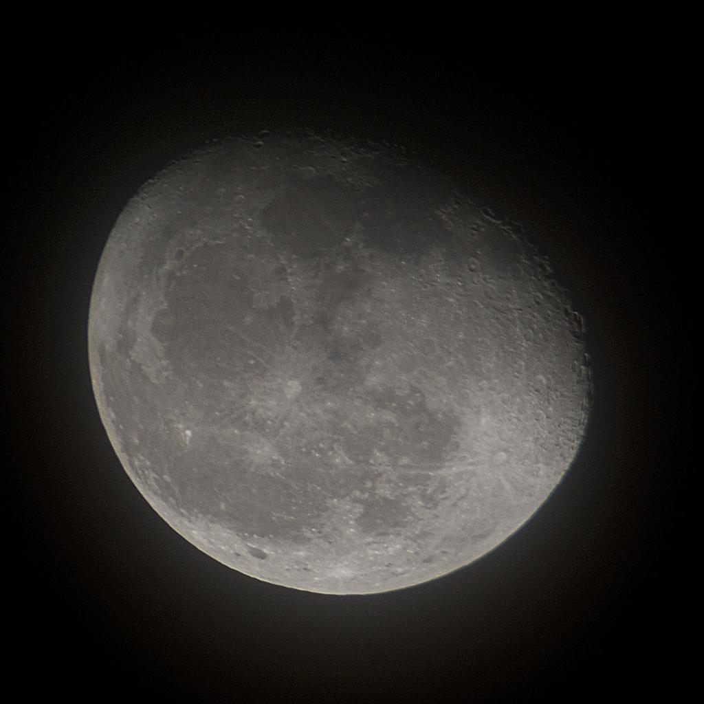 DSC_3746.jpg