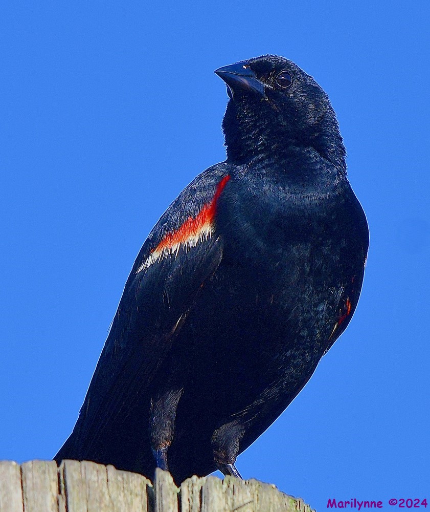 DSC_3750_001.JPG