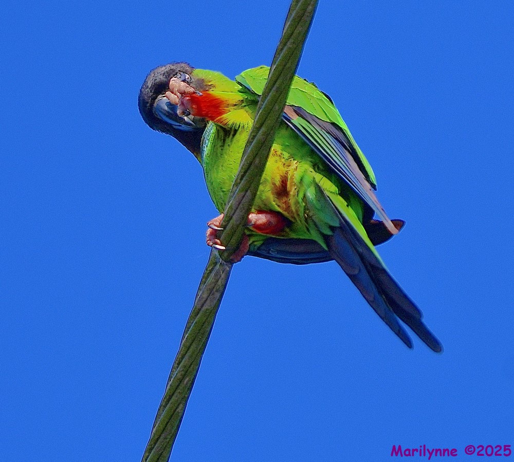 DSC_3750_001.JPG