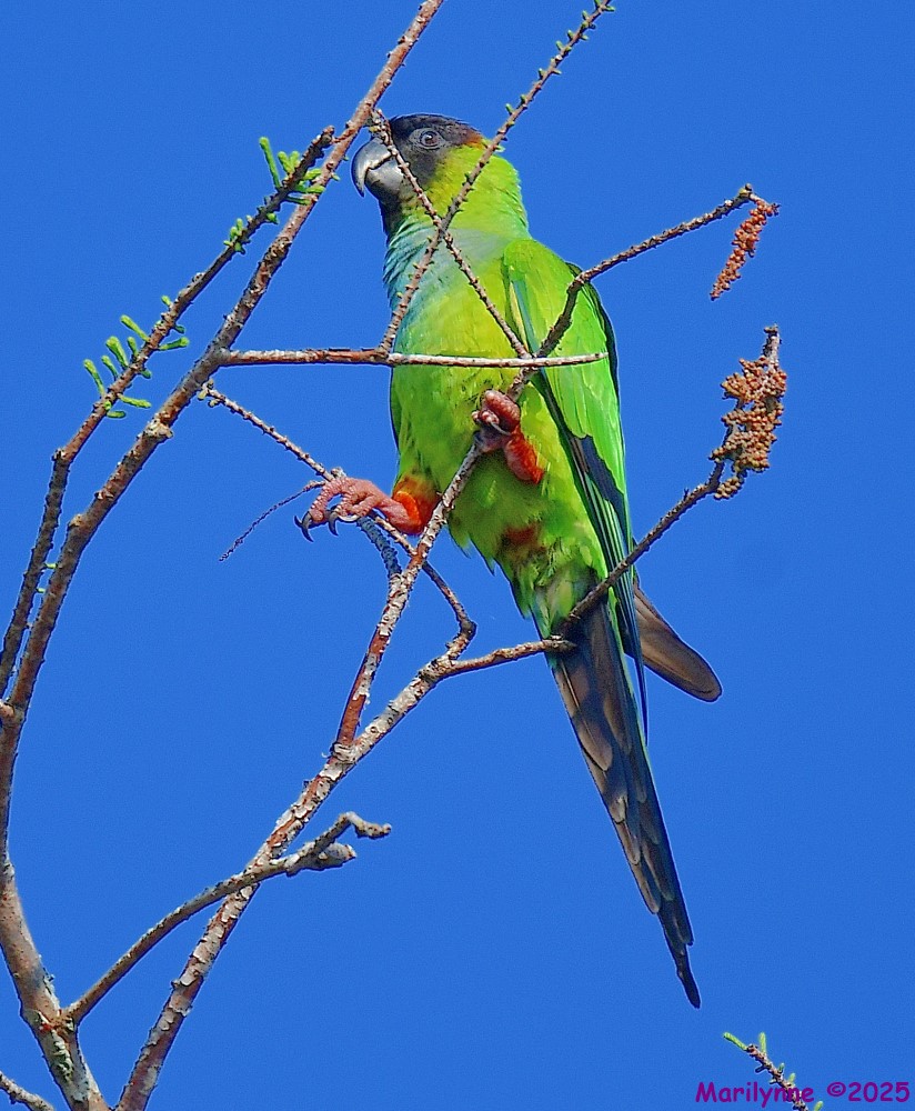 DSC_3756_001.JPG