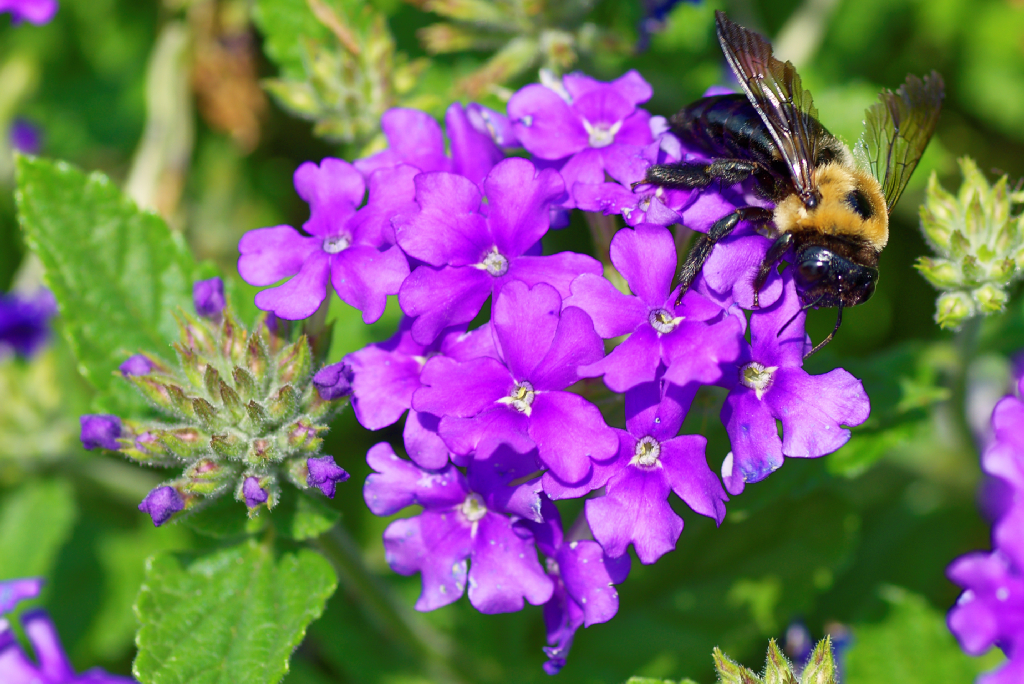 DSC_3756_DxO.jpg