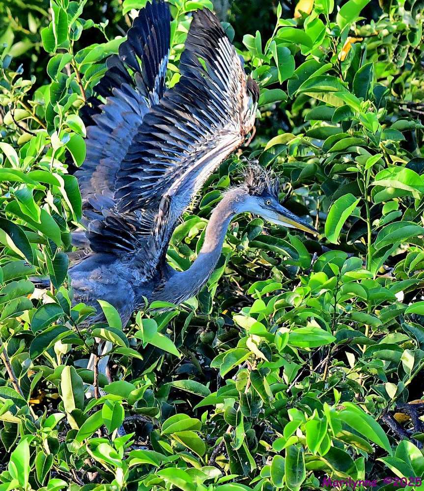 DSC_3757_001.JPG