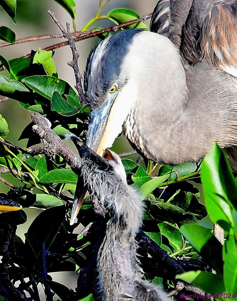 DSC_3758_001.JPG