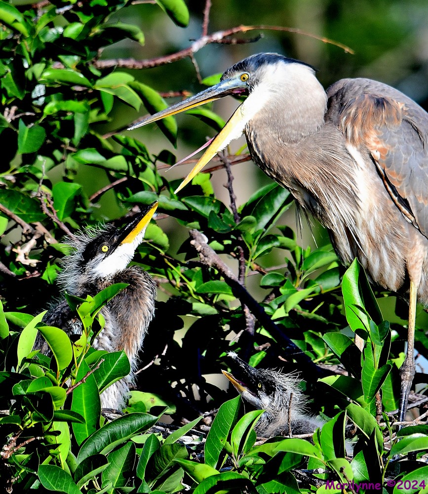 DSC_3759_001.JPG