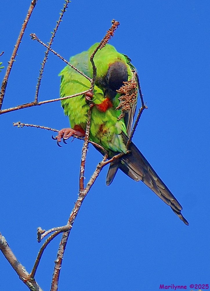 DSC_3765_001.JPG