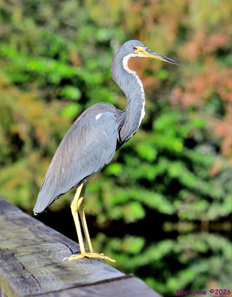 DSC_3767_001.JPG