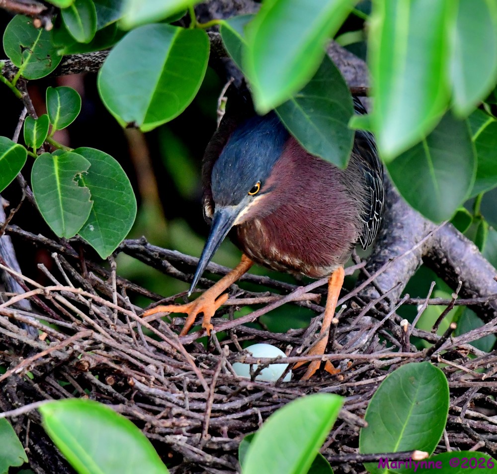 DSC_3768_001.JPG