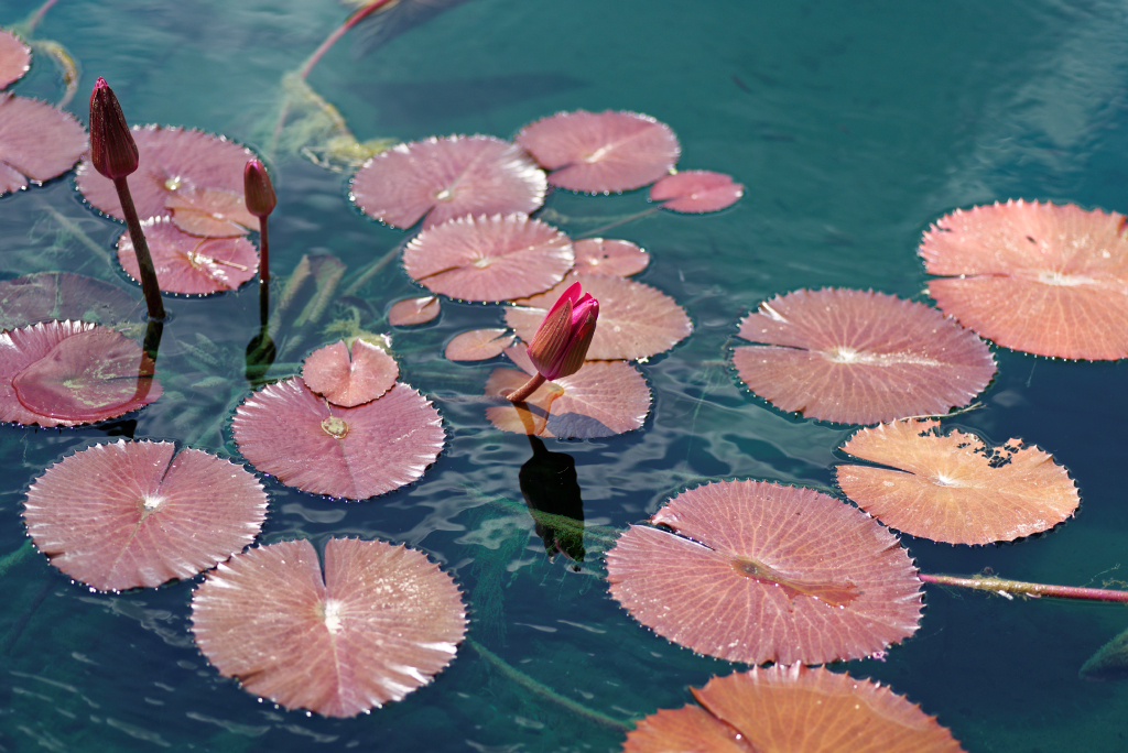 DSC_3769_DxO.jpg