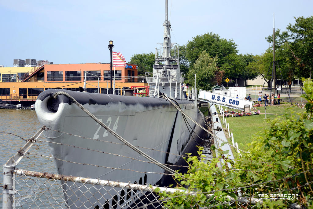 DSC_3770_00038_1876.jpg