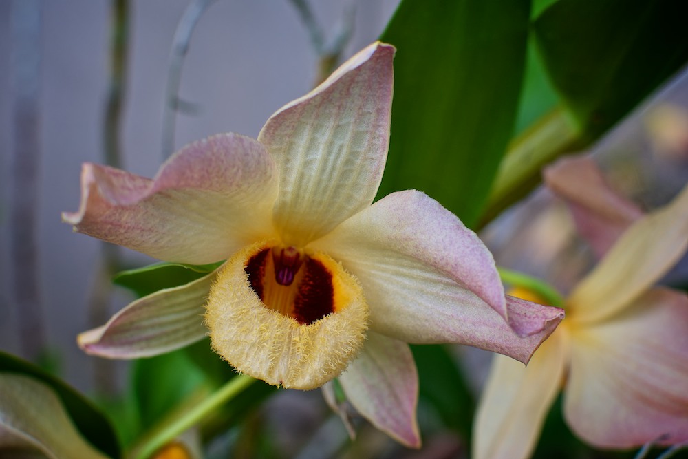 DSC_3775.jpg