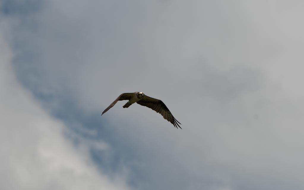 DSC_3776.jpg