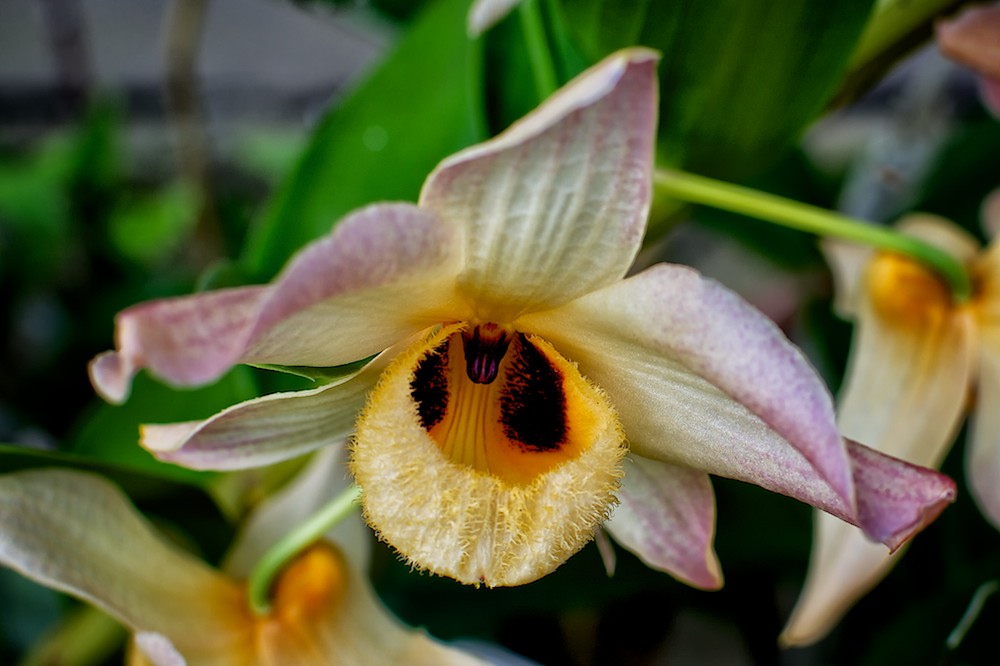DSC_3776.jpg