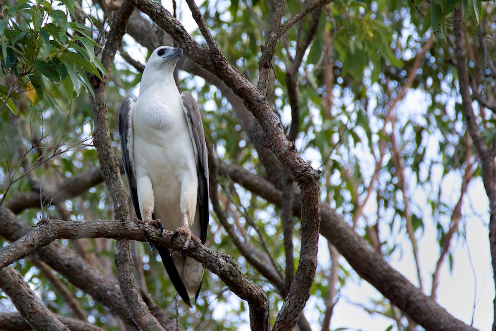DSC_3777.jpg