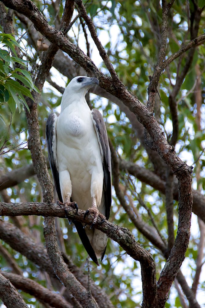DSC_3778.jpg