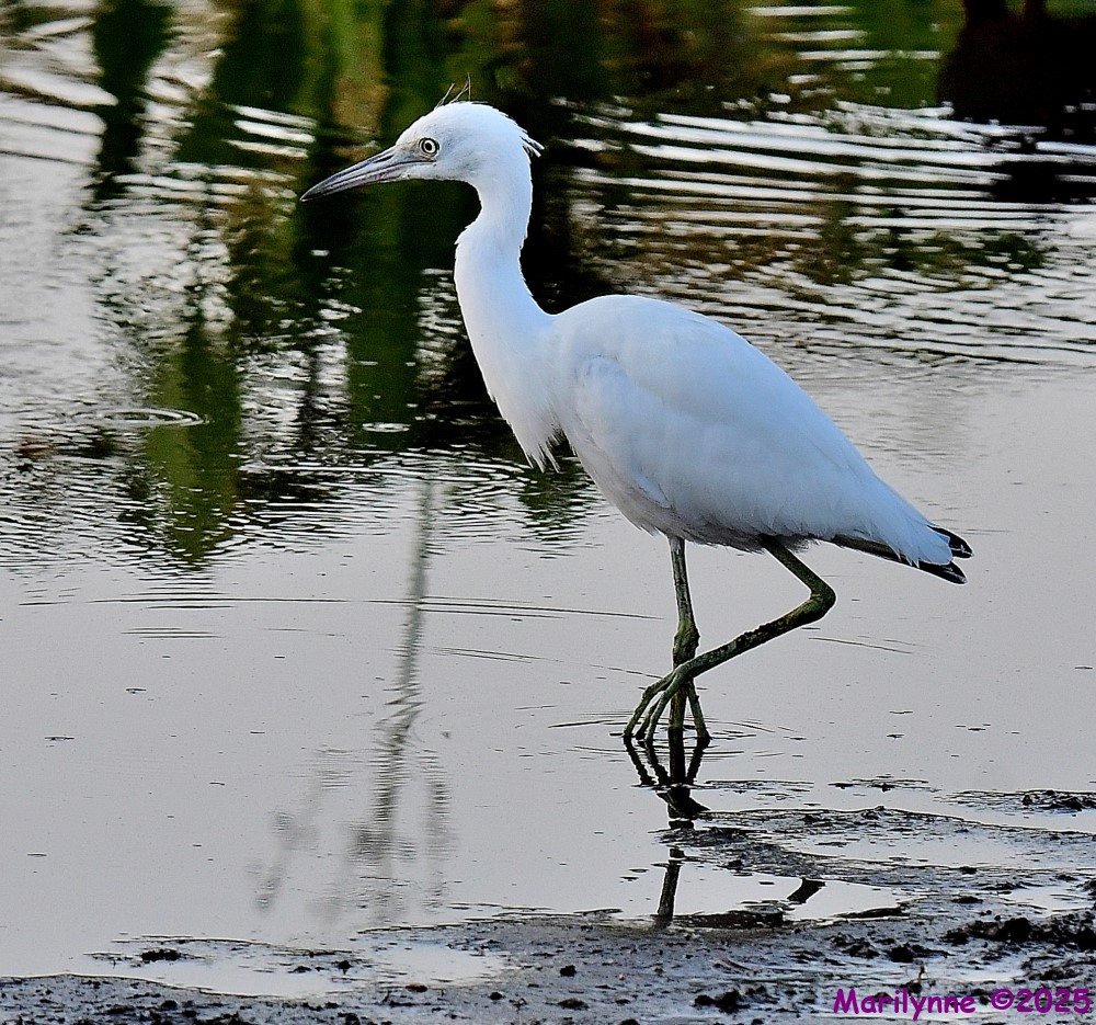 DSC_3780_001.JPG