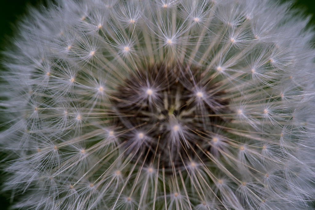 DSC_3783.jpg