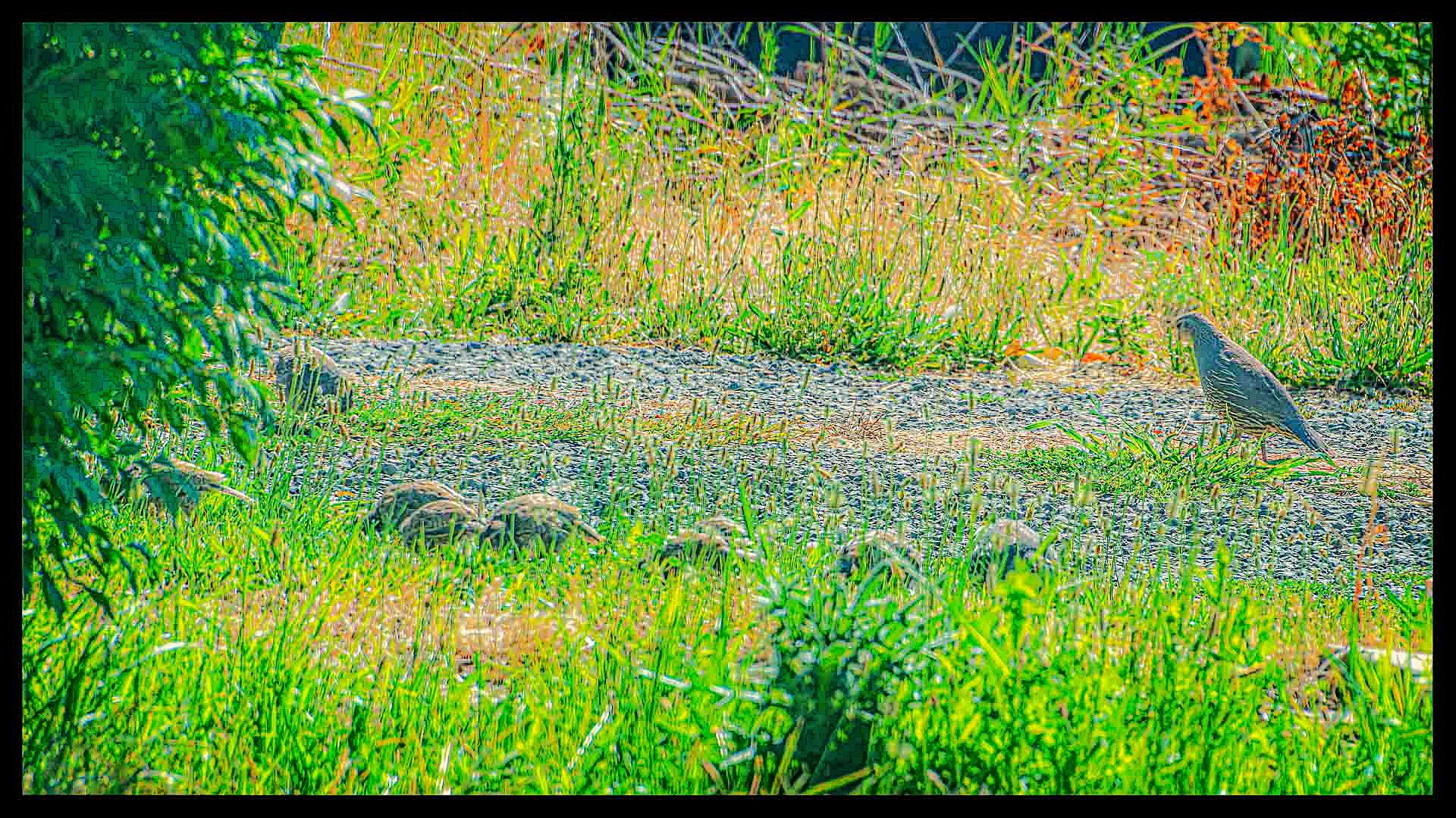 DSC_3784-Edit.jpg