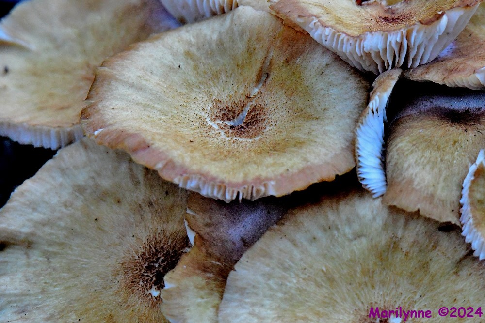 DSC_3784_001.JPG