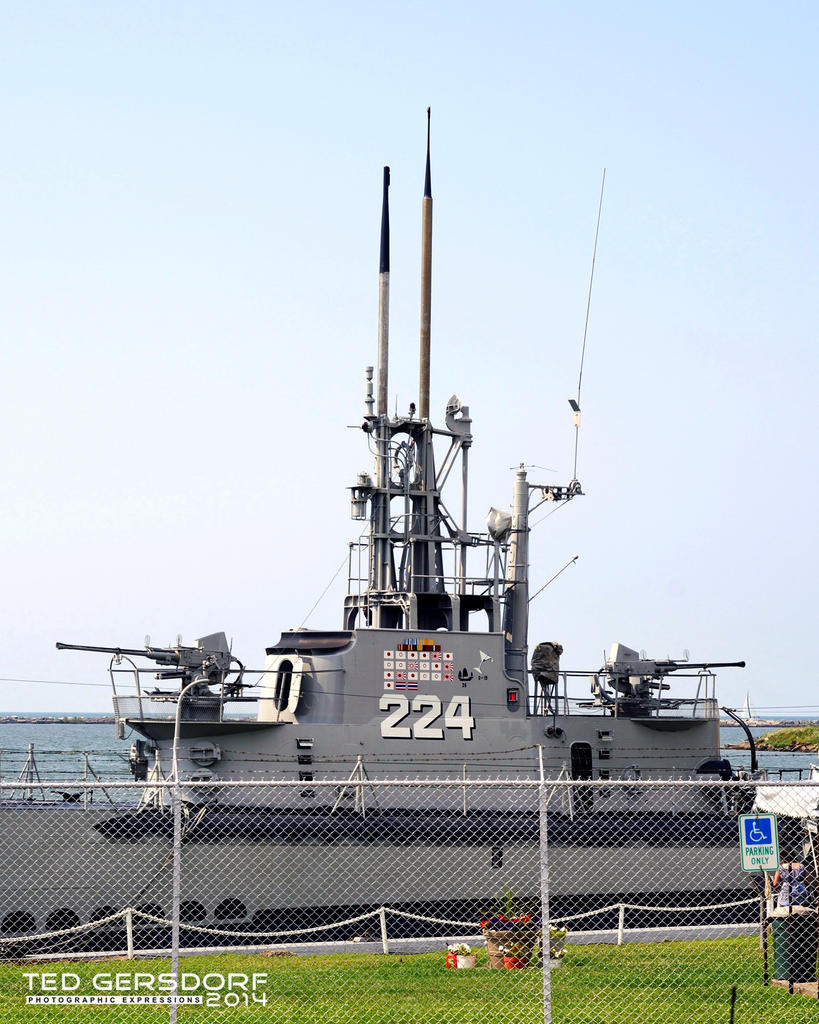 DSC_3785_00051_1888.jpg
