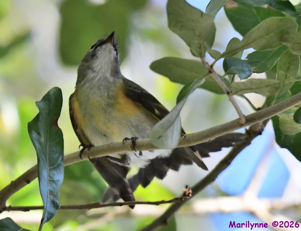 DSC_3785_001.JPG