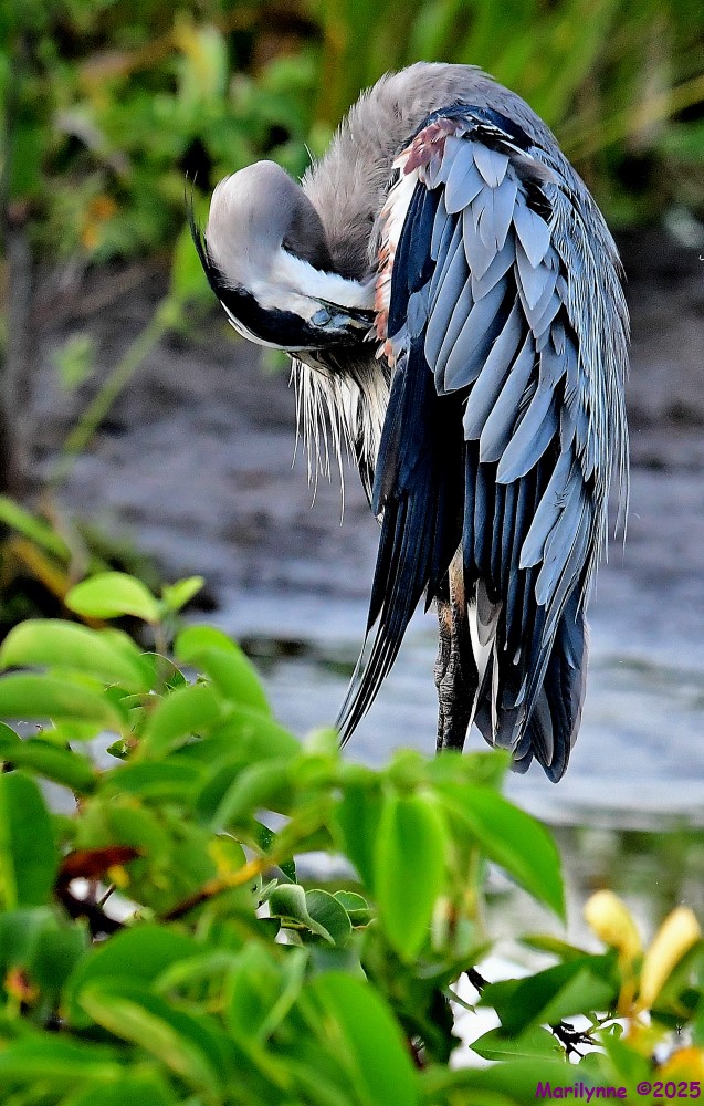 DSC_3787_001.JPG