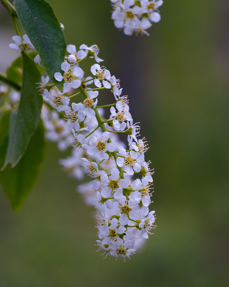 DSC_3789.jpg