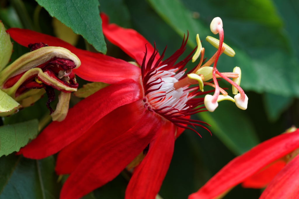 DSC_3790_DxO.jpg