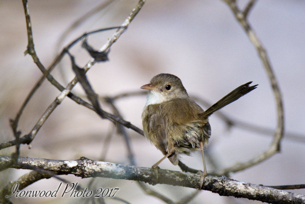 DSC_3791.jpg