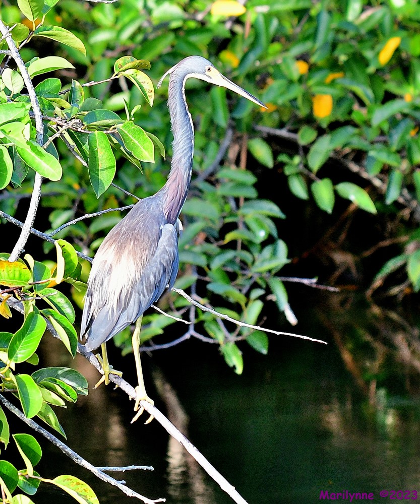DSC_3791_001.JPG