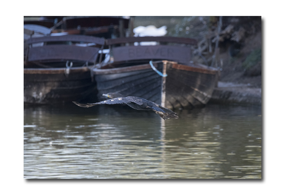 DSC_3792.jpg
