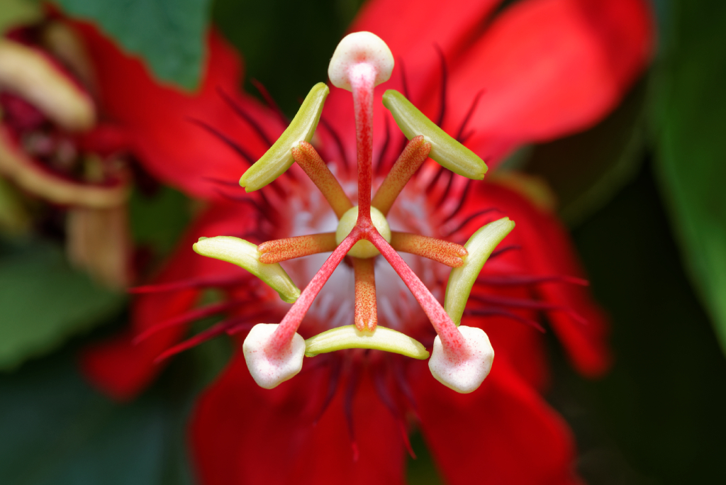 DSC_3792_DxO.jpg
