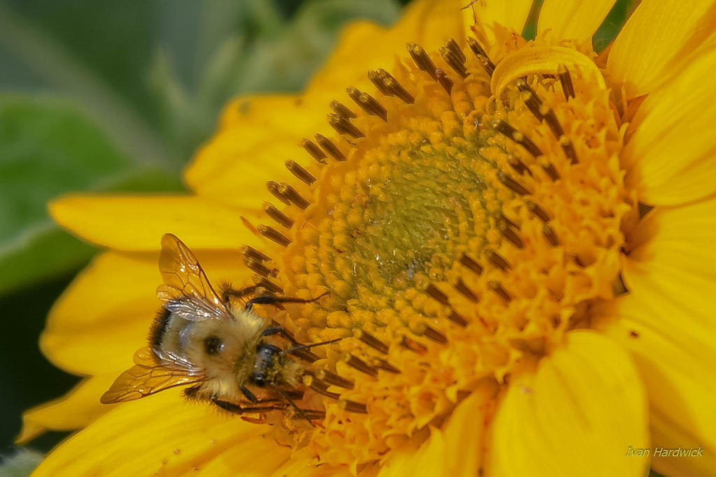 DSC_3795.jpg