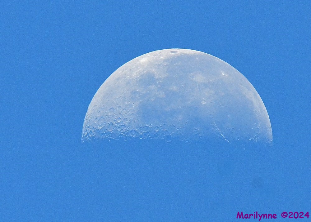 DSC_3795_001.JPG
