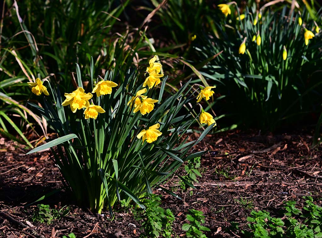 DSC_3796.jpg