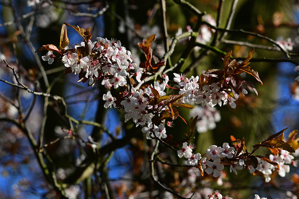 DSC_3798.jpg
