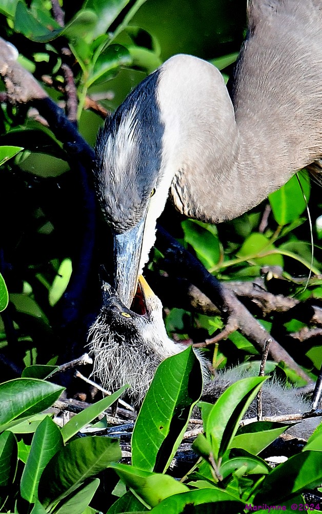 DSC_3800_001.JPG
