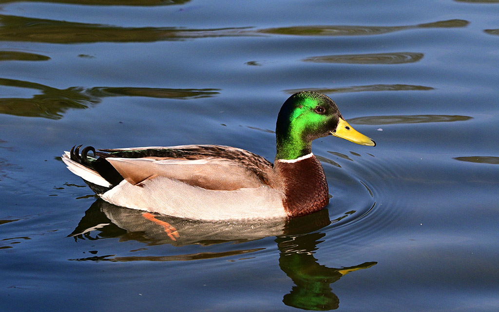 DSC_3801.jpg